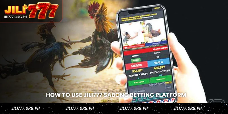 how to use jili777 sabong betting platform