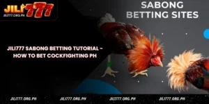 jili777 sabong betting tutorial