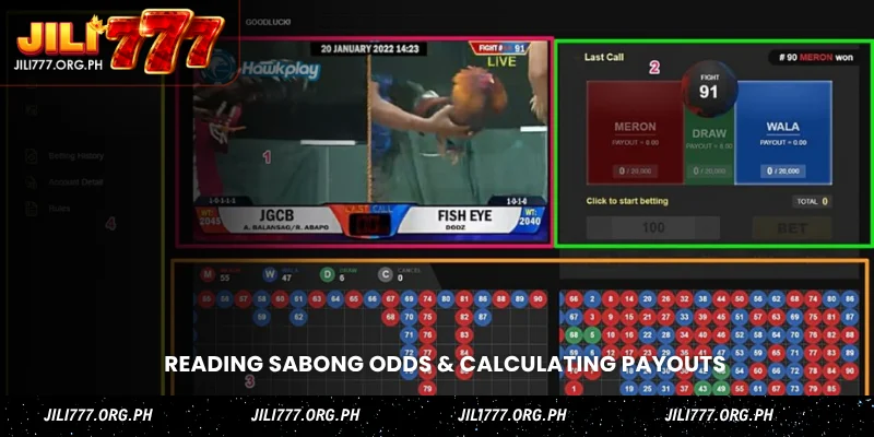 reading sabong odds & calculating payouts